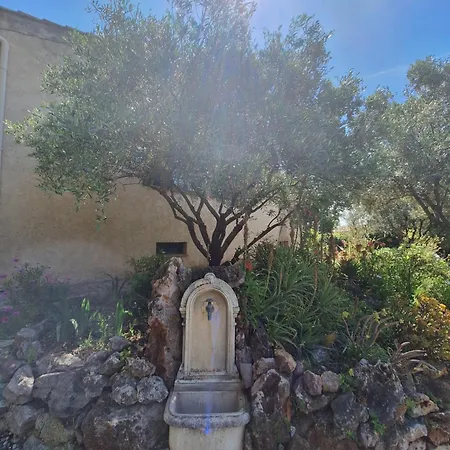 Rez De Terrasse Piscine Parking Privé