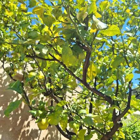 בית אירוח Rez De Terrasse Piscine Parking Prive