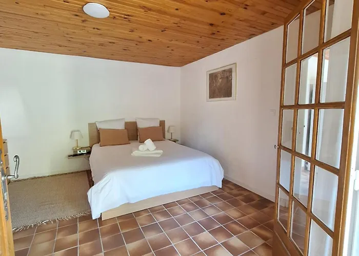 Rez De Terrasse Piscine Parking Prive * Hyères