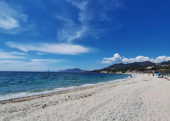 Rum i privatbostad Rez De Terrasse Piscine Parking Prive Hyères