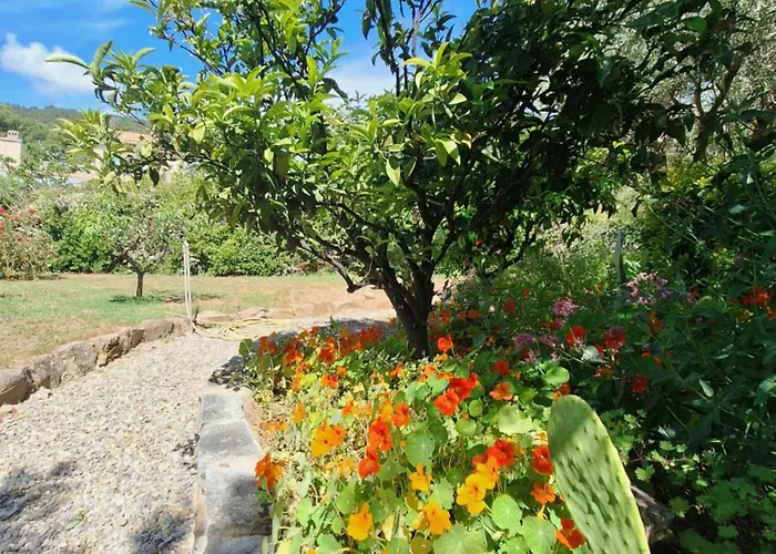 Rez De Terrasse Piscine Parking Prive Hyères