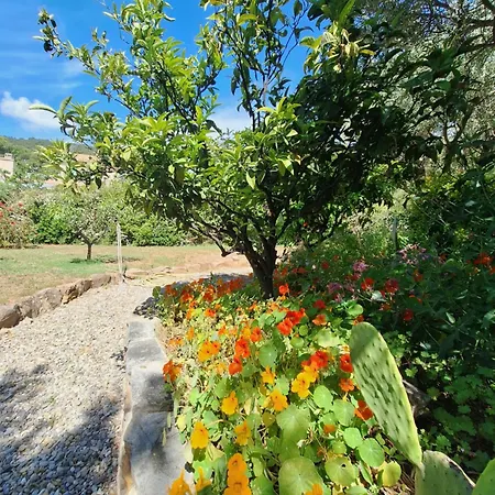 Rez De Terrasse Piscine Parking Prive Єр