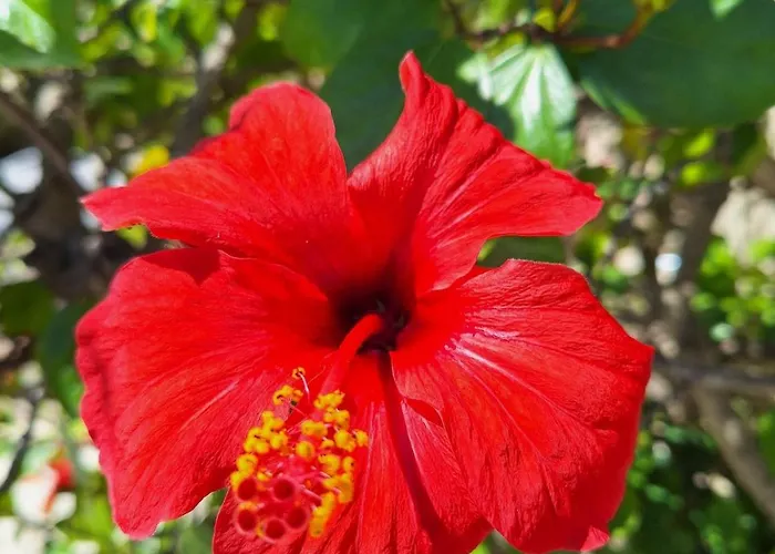 Rez De Terrasse Piscine Parking Privé