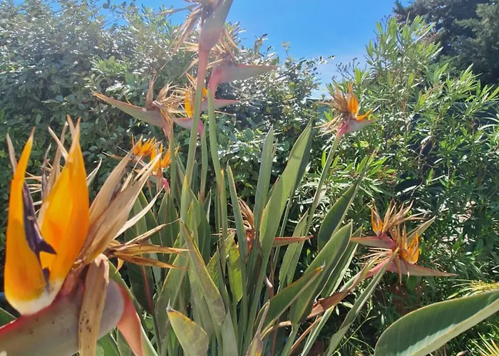 Rez De Terrasse Piscine Parking Privé