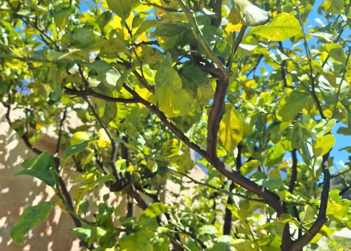 Alloggio in famiglia Rez De Terrasse Piscine Parking Privé